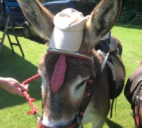 Paddy with his sun hat
